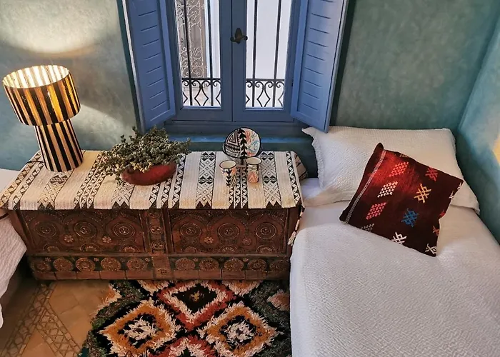 Teddy Pirate - Coliving