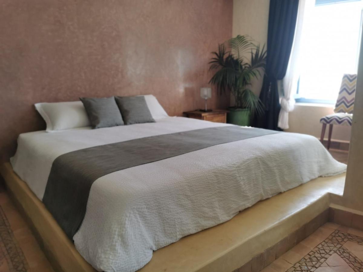 Teddy Pirate - Coliving Hostel